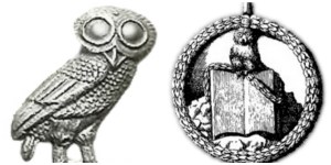 Mochuelo de Minerva Foto: wikipedia