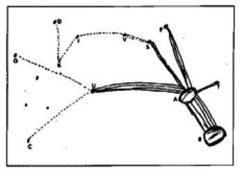 Mapa estelar Zeta Reticuli (wikipedia)