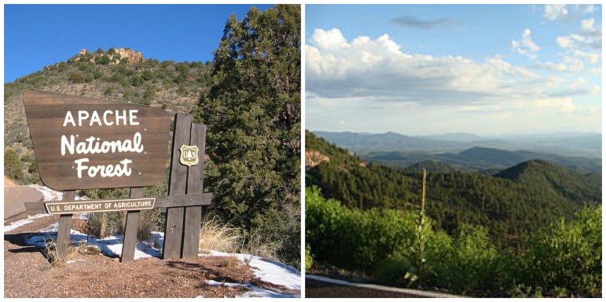 Apache National Forest