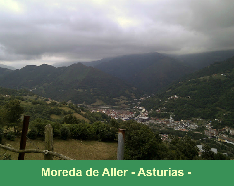 concejo-de-aller-asturias